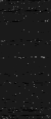 MTVZA-26.png